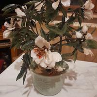 pianta in vetro soffiato