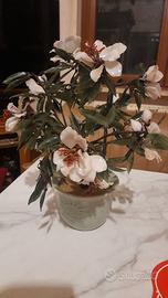 pianta in vetro soffiato