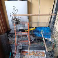 Gabbia per pappagalli