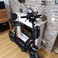 Monopattino elettrico Dualtron