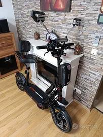 Monopattino elettrico Dualtron