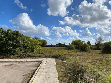 Terreno da lottizzare (C1)