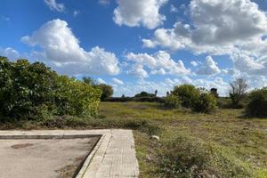 Terreno da lottizzare (C1)