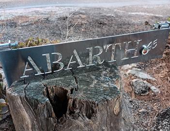 griglia alzacofano abarth per fiat 500