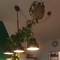 Lampadario nero con tre luci