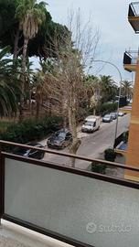 Last minute 6 posti letto Terracina