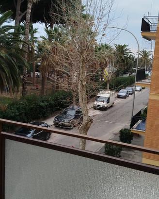 Last minute 6 posti letto Terracina