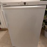 CONGELATORE VERTICALE LIEHBERR GP 1213-21