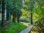 Immagine 14
