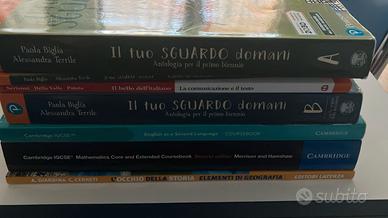Libri per liceo scientifico/linguistico/classico