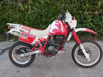 Suzuki DR 650 Djebel