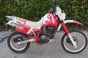 Suzuki DR 650 Djebel