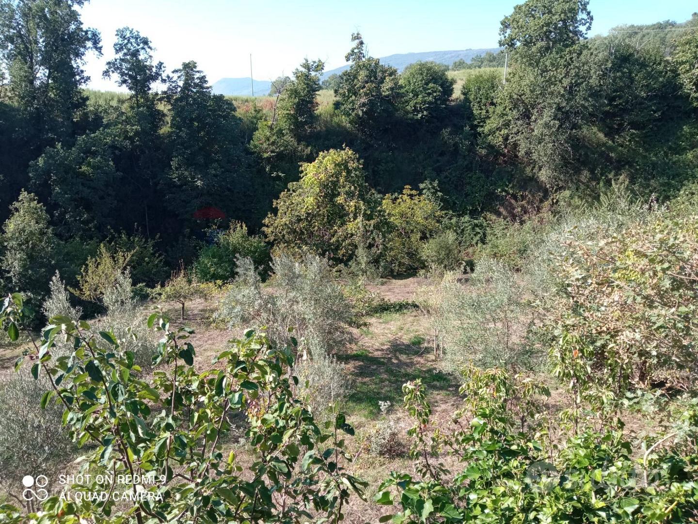 Terreno - Giarre - Vista 4