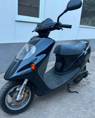 Bici Malaguti f10 jet line come nuovo