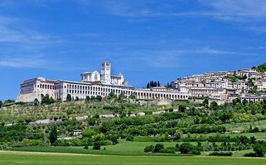 Terreno Agricolo Assisi [grim2604VCG]