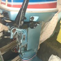 Evinrude 25/35 doppio Avviamento