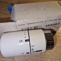 idraulicaTESTINA TERMOSTATICA LIQUIDO IRSAP TESTEL