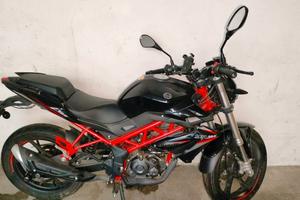 Benelli BN 125 - 2023