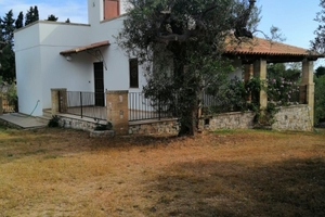 Villetta tra gli ulivi