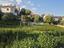 Immagine 12