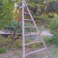 scaletto triangolare a 7 pioli