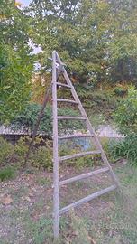 scaletto triangolare a 7 pioli