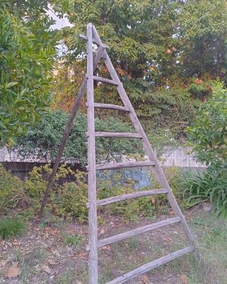 scaletto triangolare a 7 pioli