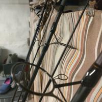 canne carpfishing prologic 