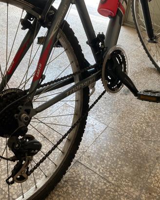 Mtb torpado da 26