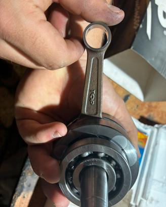 albero motore tpr spalle piene piaggio