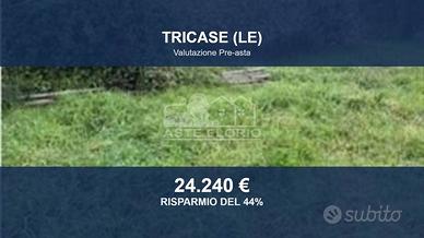 Immobile in asta di 26508 m² a Tricase