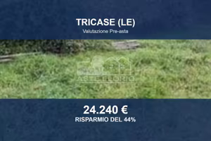 Immobile in asta di 26508 m² a Tricase