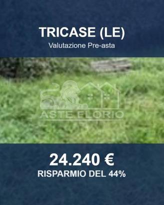 Immobile in asta di 26508 m² a Tricase