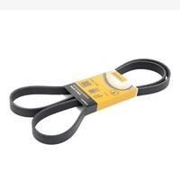 Cinghia servizo contitech Ford focus mk1 2002