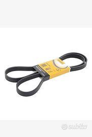 Cinghia servizo contitech Ford focus mk1 2002