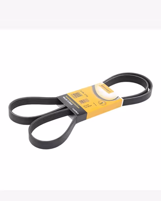 Cinghia servizo contitech Ford focus mk1 2002