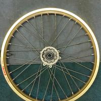 CERCHIO, ruota completa 21 EXCEL TAKASAGO J21X1,60