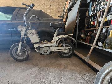 CIMATTI MINI CHIC