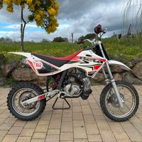 Beta 50 R12