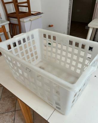 Cesta Plastica Forata Pane Frutta 60x40x31