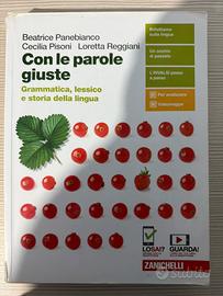 Con le parole giuste 9788808314611