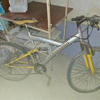 bici Mountain bike LOMBARDO