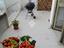 Immagine 23