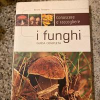 Libro I Finghi guida completa