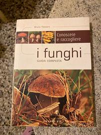 Libro I Finghi guida completa