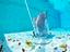 Immagine 7