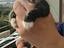 Immagine 1