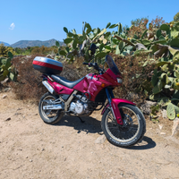 Aprilia pegaso 650 GA 1995
