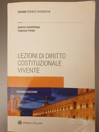 Camerlengo Lezioni diritto costituzionale 
