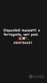 Maialetti
